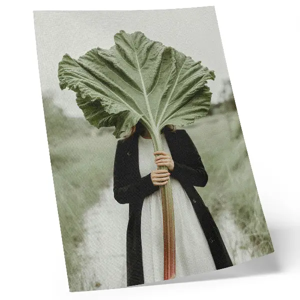Wandposter het mysterie van de natuur met blad en figuur
