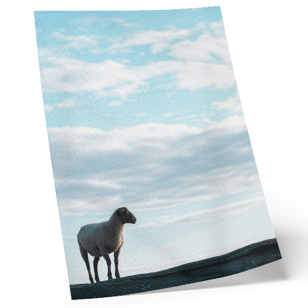 Decoratieve poster Hemel, wolken, schapen, diepe stilte, vrede