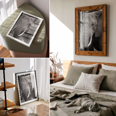 Decoratieve poster Een close-up van een olifant vol rust en kracht.
