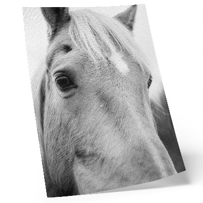 Decoratieve poster Paardenoog Zwart-wit Elegantie