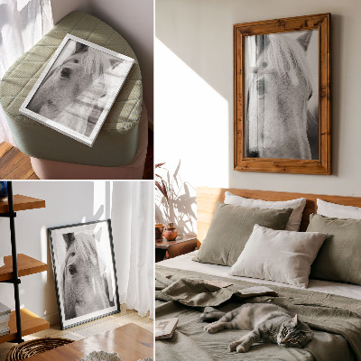 Decoratieve poster Paardenoog Zwart-wit Elegantie