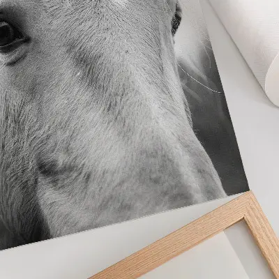 Decoratieve poster paardenoog in zwart-wit elegantie