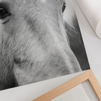 Decoratieve poster Paardenoog Zwart-wit Elegantie