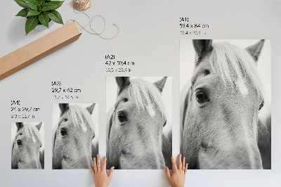 Decoratieve poster Paardenoog Zwart-wit Elegantie