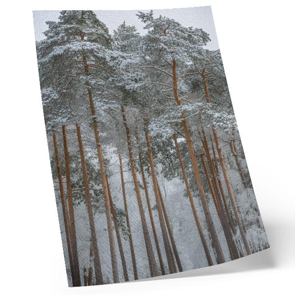 Wandposter Winterbos, sneeuw, bomen, rust, harmonie, natuur