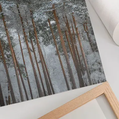 Wandposter winterbos met sneeuw en bomen voor rust en harmonie in de natuur