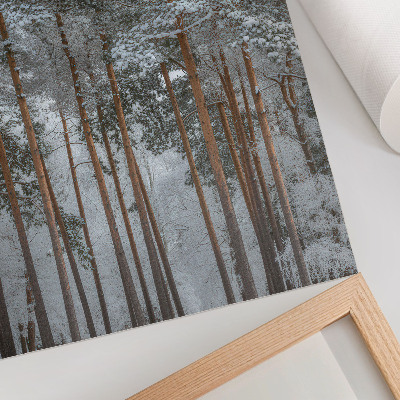 Wandposter Winterbos, sneeuw, bomen, rust, harmonie, natuur