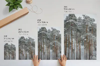 Wandposter winterbos met sneeuw en bomen voor rust en harmonie in de natuur