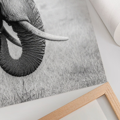 Wandposter Portret van een olifant in zwart-wit
