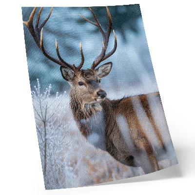 Poster De schoonheid van de natuur, het winterlandschap, de majestueuze herten.