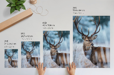 Poster De schoonheid van de natuur, het winterlandschap, de majestueuze herten.