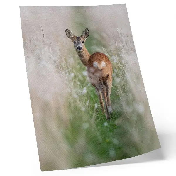 Decoratieve poster met reeën in een rustig natuurlandschap