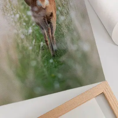 Decoratieve poster met reeën in een rustig natuurlandschap