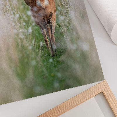 Decoratieve poster Reeën op de achtergrond, in harmonie met de natuur en in alle rust.