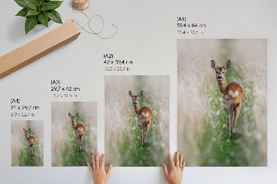 Decoratieve poster Reeën op de achtergrond, in harmonie met de natuur en in alle rust.