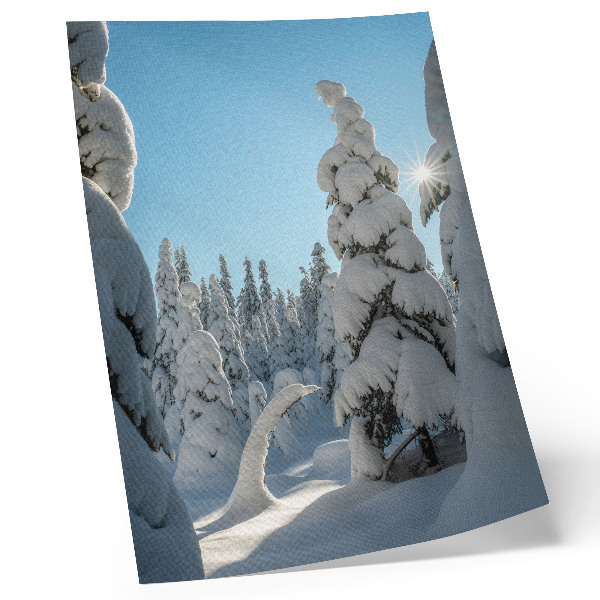Wandposter Met sneeuw bedekte bomen, blauwe lucht, zonneschijn