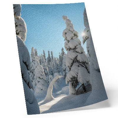Wandposter Met sneeuw bedekte bomen, blauwe lucht, zonneschijn