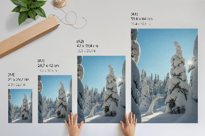 Wandposter Met sneeuw bedekte bomen, blauwe lucht, zonneschijn