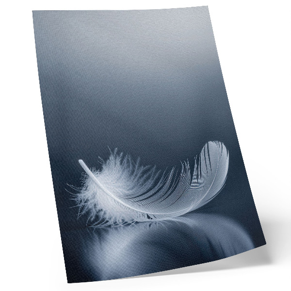 Wandposter Witte veer op een grijze achtergrond, symbool voor vrede en harmonie.