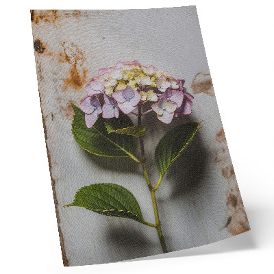 Wandposter Roze hortensia met groene bladeren en een rustieke achtergrond.