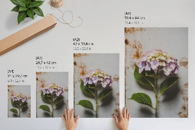 Wandposter Roze hortensia met groene bladeren en een rustieke achtergrond.