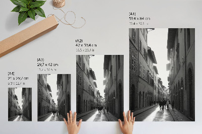 Poster De monochrome charme van een historische straat