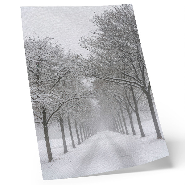 Wandposter Symmetrische laan met winterse bomen, sneeuw en mist.