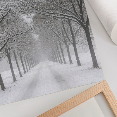 Wandposter Symmetrische laan met winterse bomen, sneeuw en mist.