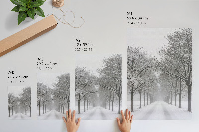 Wandposter Symmetrische laan met winterse bomen, sneeuw en mist.