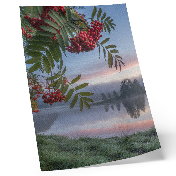 Wandposter Meer in de ochtend lijsterbes delicate mist natuur