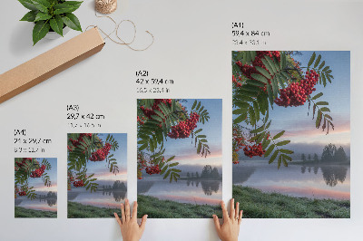 Wandposter Meer in de ochtend lijsterbes delicate mist natuur