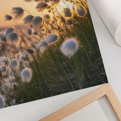 Poster grassen bij zonsondergang met warme natuurlijke kleuren