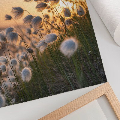 Poster Grassen bij zonsondergang, warme kleuren, natuurlijkheid