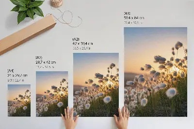Poster grassen bij zonsondergang met warme natuurlijke kleuren