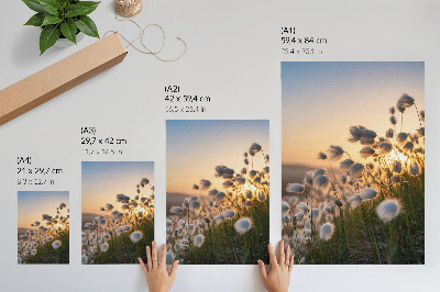 Poster Grassen bij zonsondergang, warme kleuren, natuurlijkheid