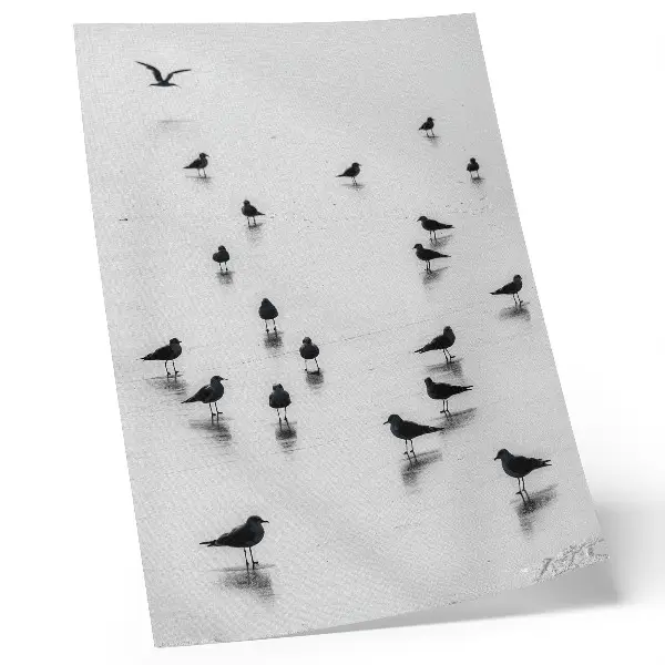Poster vogels boven water met subtiele reflecties in minimalistische stijl
