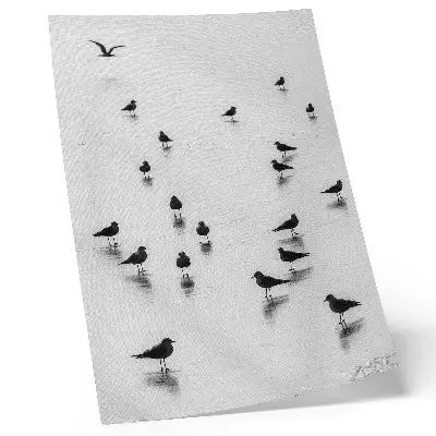 Poster vogels boven water met subtiele reflecties in minimalistische stijl