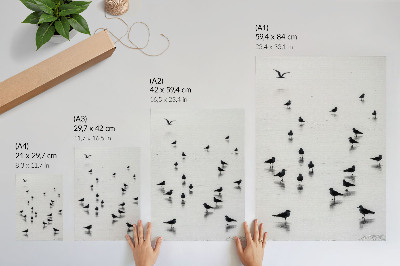Poster Vogels boven water, subtiele reflecties, minimalisme