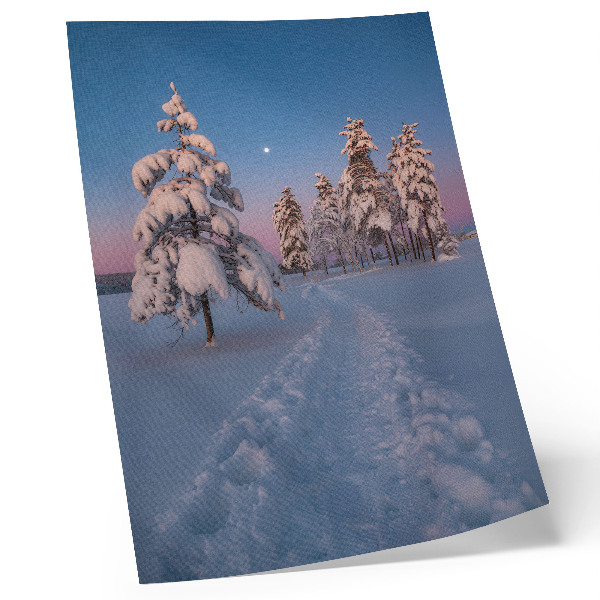 Decoratieve poster Winterlandschap met besneeuwde bomen en de maan