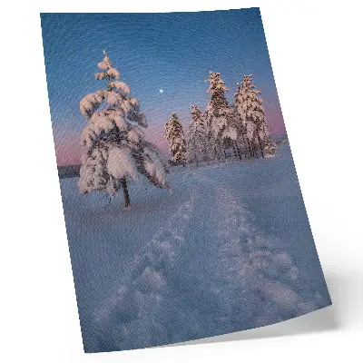 Decoratieve poster met winterlandschap van besneeuwde bomen bij maanlicht