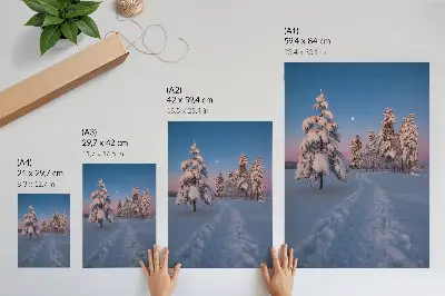 Decoratieve poster met winterlandschap van besneeuwde bomen bij maanlicht