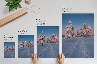 Decoratieve poster Winterlandschap met besneeuwde bomen en de maan