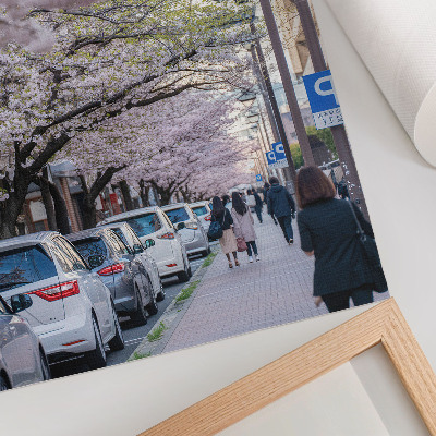 Poster Een straat met kersenbloesems en geparkeerde auto's.