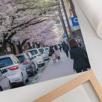 Poster straat met kersenbloesems en geparkeerde auto's