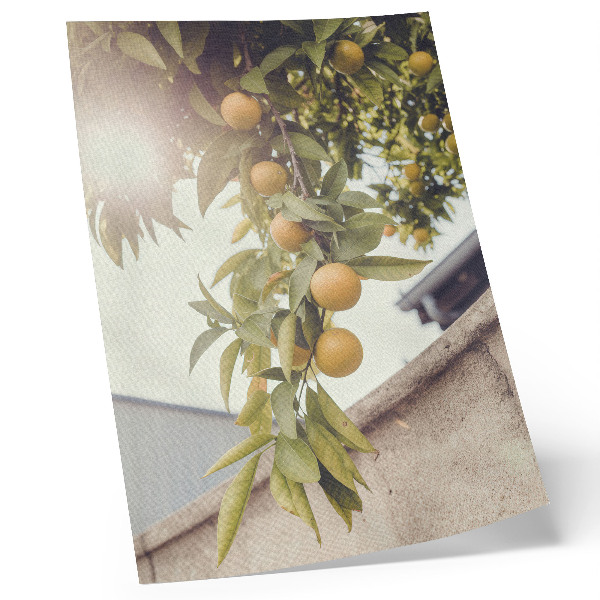 Wandposter Boomtak zon groene bladeren oranje