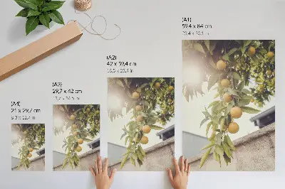 Wandposter boomtak met zon en groene bladeren in oranje tinten