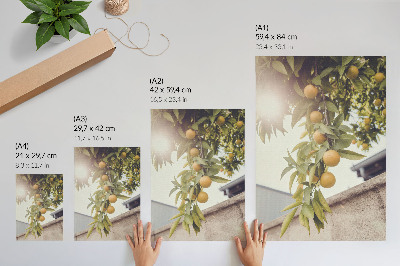 Wandposter Boomtak zon groene bladeren oranje