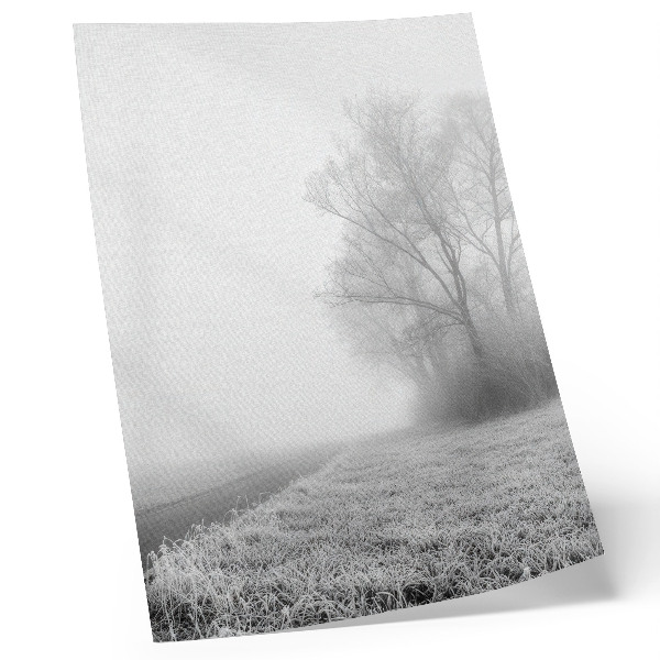 Poster Subtiele mist, bomen, winterlandschap, vredige sfeer