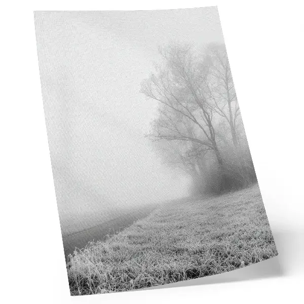 Poster subtiele mist met bomen in een vredig winterlandschap