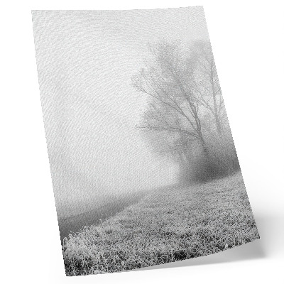 Poster Subtiele mist, bomen, winterlandschap, vredige sfeer